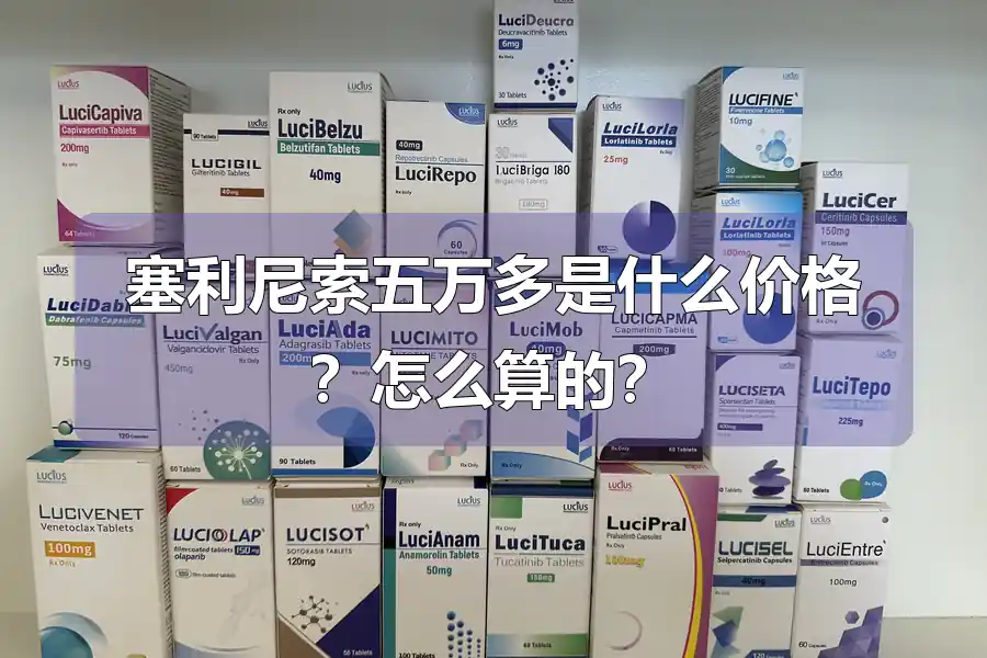 塞利尼索五万多是什么价格？怎么算的？